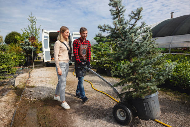  Antioch, CA Tree Care Services Pros